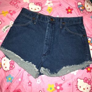 Aritzia Wrangler Vintage High Waisted Shorts (NWT)